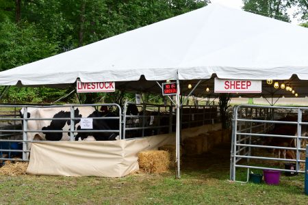 2022-09-25 Wolcott Lions Country Fair From Sunday; Photo # (280)